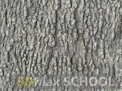 Текстуры коры древесины - 11