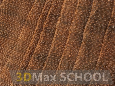 Текстуры деревянной половой доски – тик 475х161 - 38