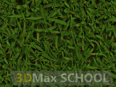 Бесшовные текстуры травы - 3