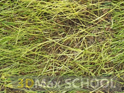 Бесшовные текстуры травы - 42