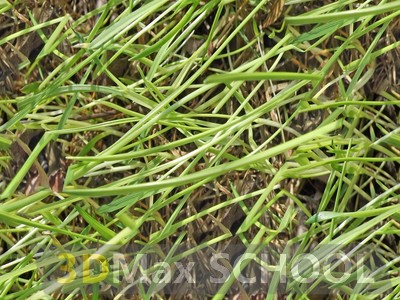Бесшовные текстуры травы - 66