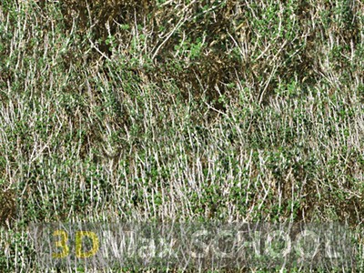 Бесшовные текстуры травы - 78