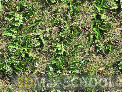 Бесшовные текстуры травы - 84
