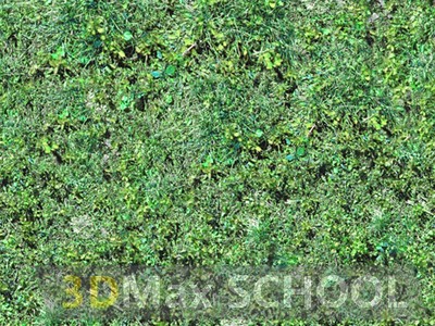 Бесшовные текстуры травы - 85