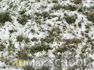 Текстуры травы под снегом - 11