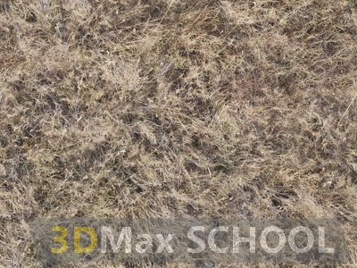 Текстуры сухой травы - 66