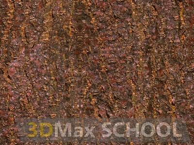 Текстуры дерева - 250