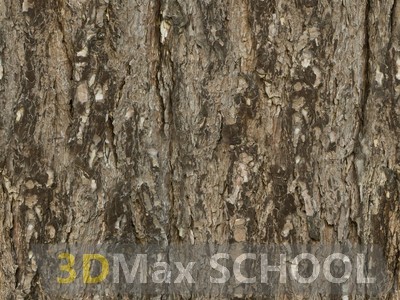 Текстуры коры древесины - 36