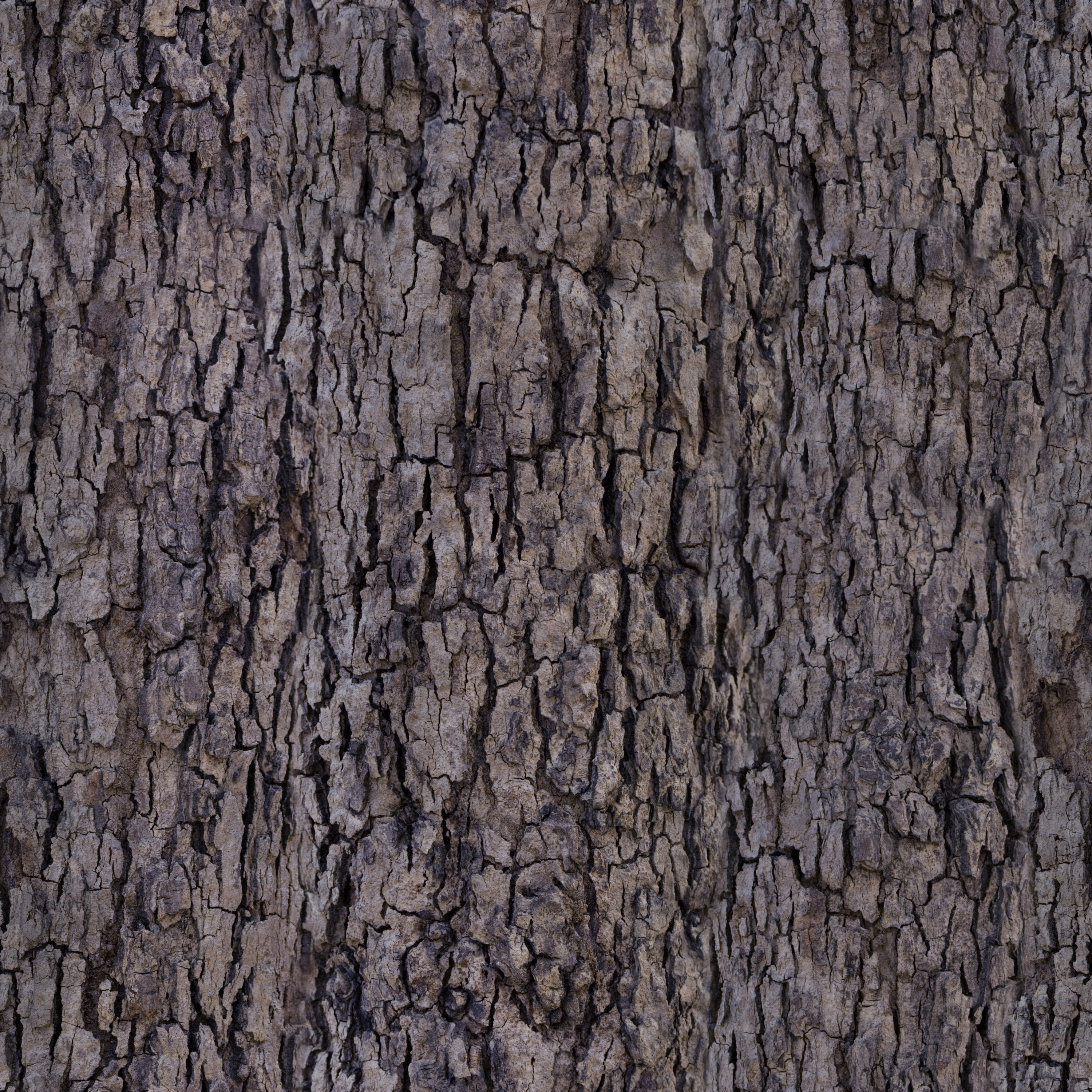 Скачать бесплатно текстуры коры древесины для 3D Max, Cinema 4d, Blender и Photoshop в высоком разрешении