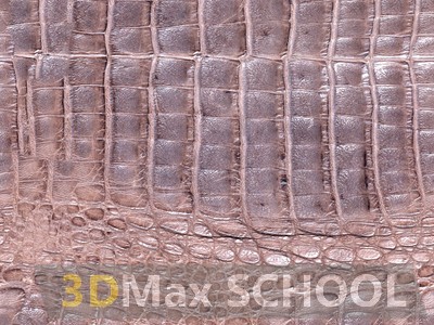 Бесшовные текстуры кожи змеи, крокодила, динозавра (рептилии) - 4