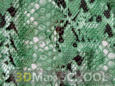 Бесшовные текстуры кожи змеи, крокодила, динозавра (рептилии) - 17