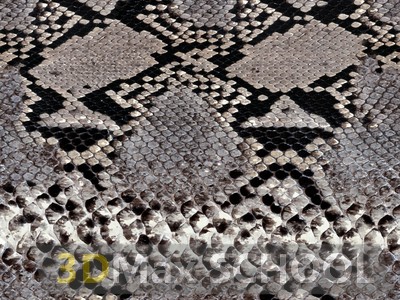 Бесшовные текстуры кожи змеи, крокодила, динозавра (рептилии) - 20