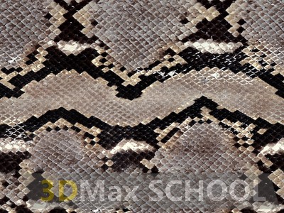Бесшовные текстуры кожи змеи, крокодила, динозавра (рептилии) - 35