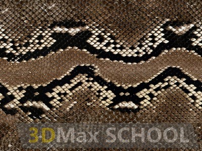 Бесшовные текстуры кожи змеи, крокодила, динозавра (рептилии) - 52
