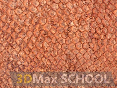 Бесшовные текстуры кожи змеи, крокодила, динозавра (рептилии) - 60