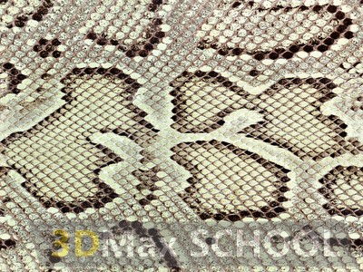 Бесшовные текстуры кожи змеи, крокодила, динозавра (рептилии) - 66