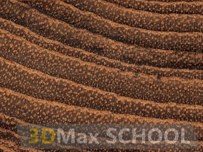 Текстуры деревянной половой доски – тик 475х161 - 12