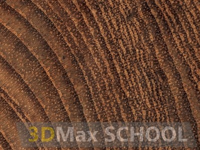 Текстуры деревянной половой доски – тик 475х161 - 26