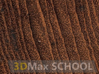 Текстуры деревянной половой доски – тик 475х161 - 31