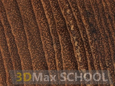 Текстуры деревянной половой доски – тик 475х161 - 40