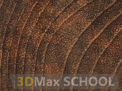 Текстуры деревянной половой доски – тик 475х161 - 44