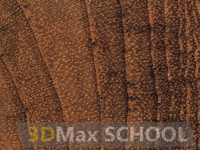 Текстуры деревянной половой доски – тик 475х161 - 48