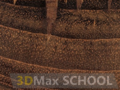 Текстуры деревянной половой доски – тик 475х161 - 53