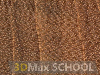 Текстуры деревянной половой доски – тик 475х161 - 54