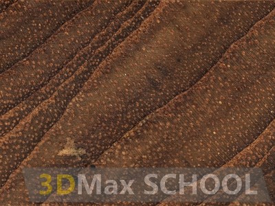 Текстуры деревянной половой доски – тик 475х161 - 60