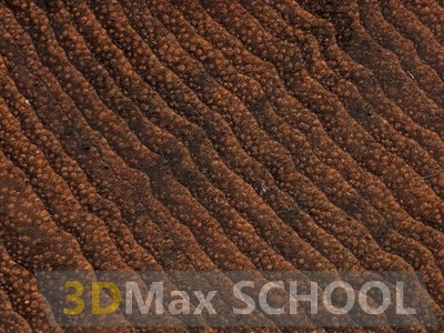 Текстуры деревянной половой доски – тик 475х161 - 81