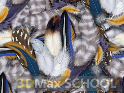 Текстуры перьев птиц - 41