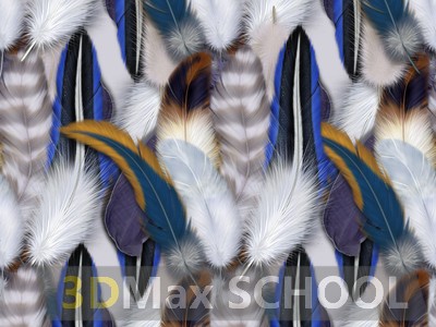 Текстуры перьев птиц - 10