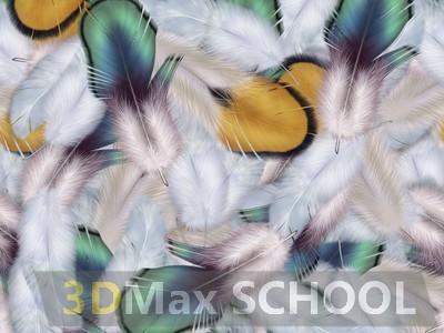 Текстуры перьев птиц - 48