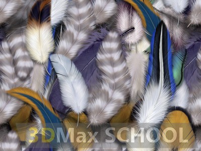 Текстуры перьев птиц - 53