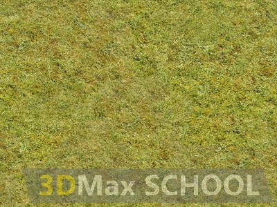 Текстуры травы - 45
