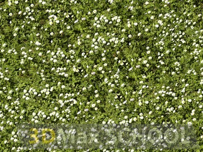 Текстуры травы - 50