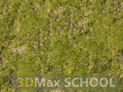 Текстуры травы - 55
