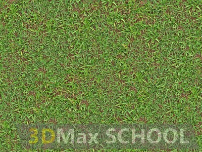Текстуры травы - 81