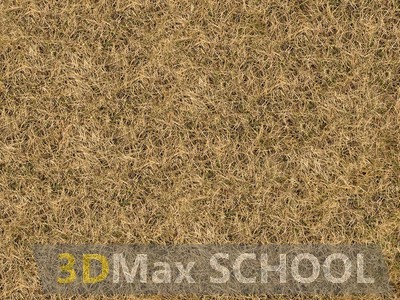 Текстуры травы - 163