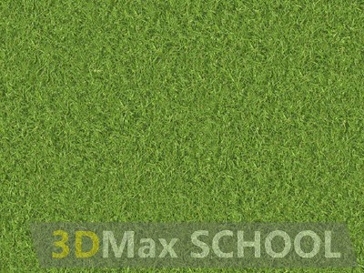 Текстуры травы - 168
