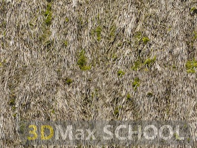 Бесшовные текстуры травы - 5