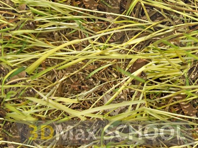 Бесшовные текстуры травы - 12
