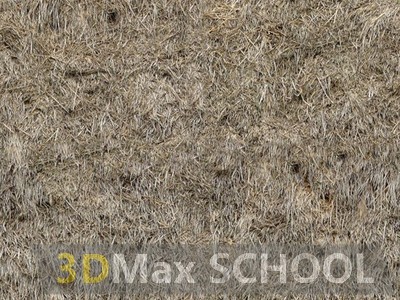 Бесшовные текстуры травы - 33