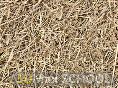 Бесшовные текстуры травы - 35