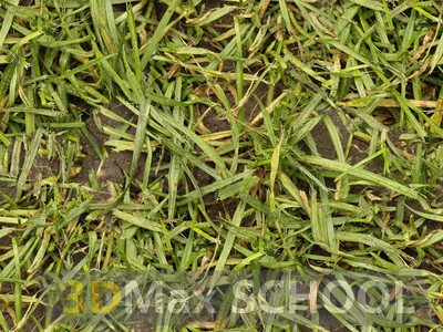 Бесшовные текстуры травы - 38