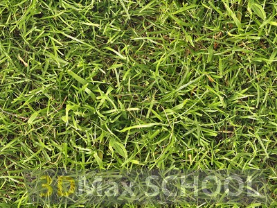 Бесшовные текстуры травы - 40