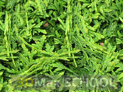 Бесшовные текстуры травы - 49