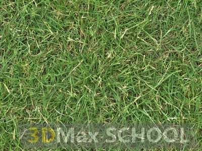 Бесшовные текстуры травы - 51