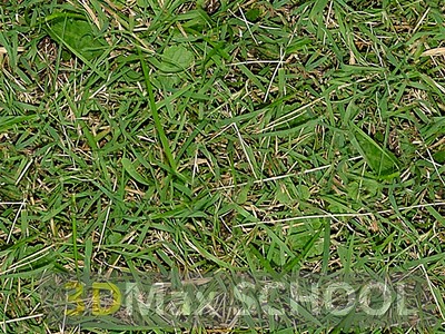Бесшовные текстуры травы - 57
