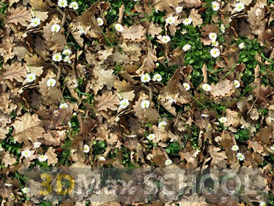 Бесшовные текстуры травы - 61